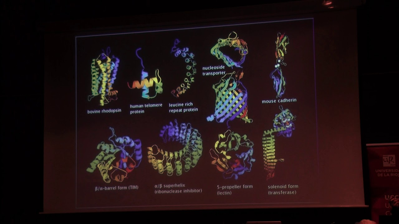 (R)e-volución biotecnológica para un futuro sostenible, Gonzalo Jiménez Osés