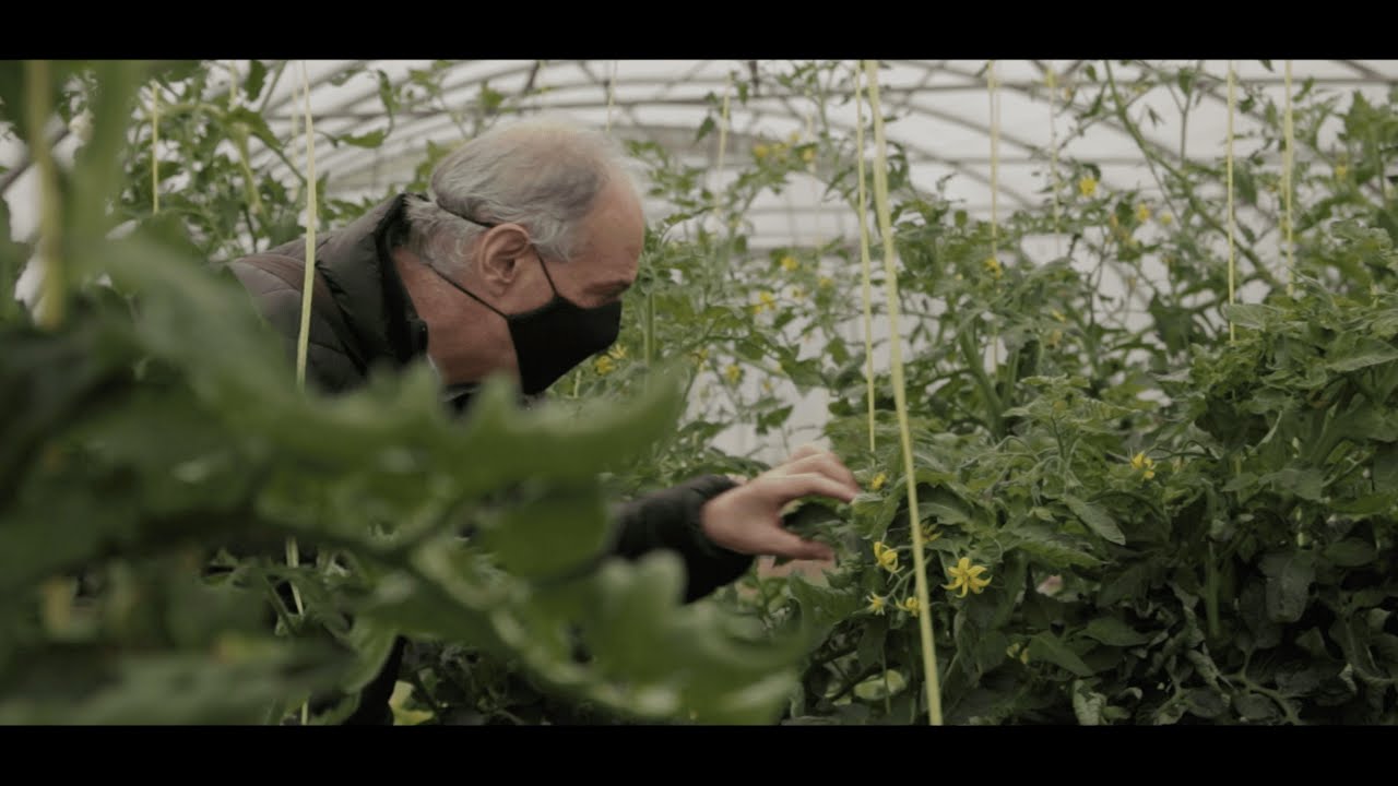 Proteger las plantas, cuidar la vida