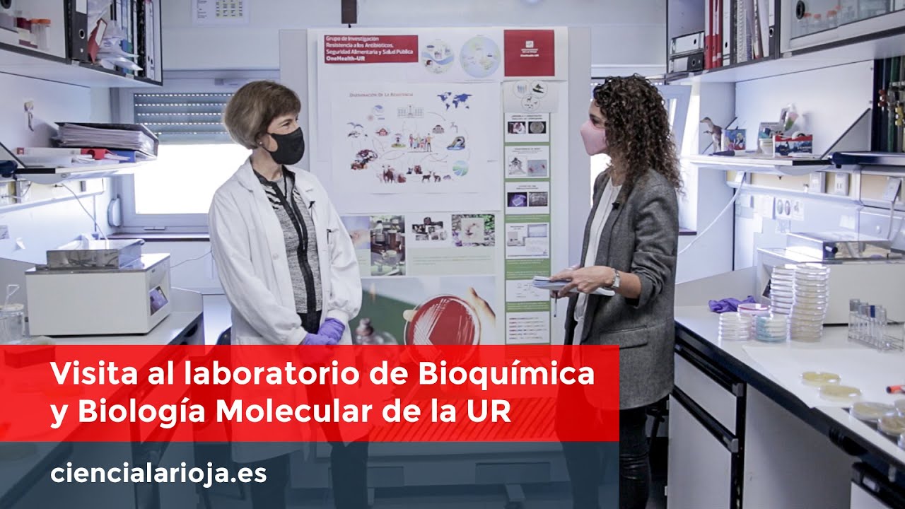 Visita al laboratorio de Bioquímica y Biología Molecular de la Universidad de La Rioja